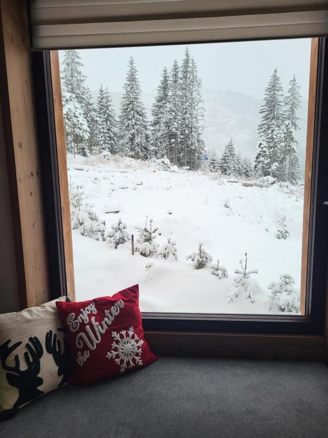 Hillview Jasna Chalet Deménvölgy Kültér fotó
